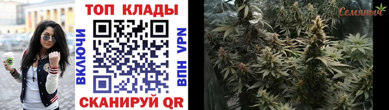 Галлюциногенные грибы Болхов