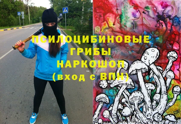 гидра Алзамай