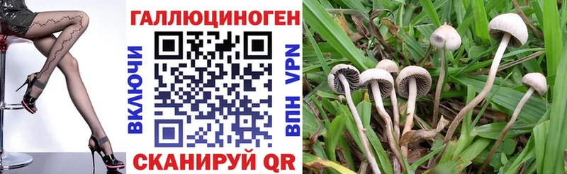 Галлюциногенные грибы Magic Shrooms Болхов