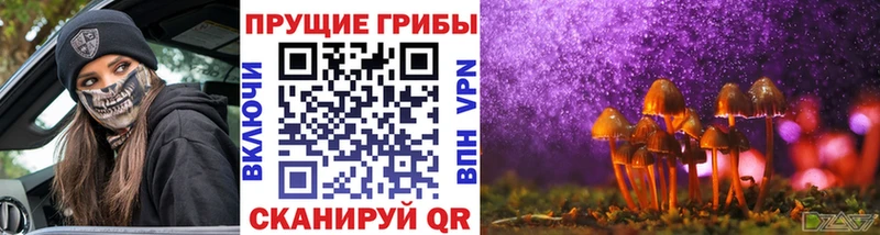 Галлюциногенные грибы MAGIC MUSHROOMS  Болхов 